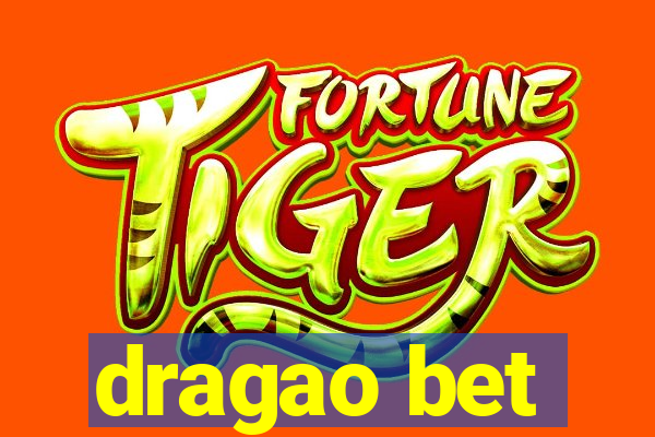 dragao bet